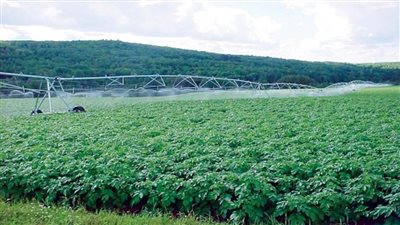 بالإنفوجراف | 