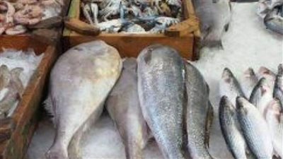 ضبط كميات أسماك منتهية الصلاحية خلال حملة تموينية مفاجئة على الأسواق بقنا