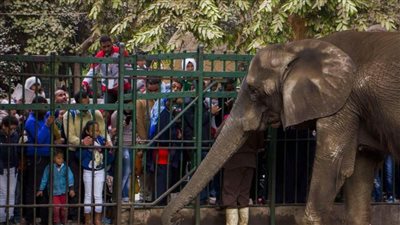 حديقة الحيوان تعلن استقبال 100 ألف زائر في ثالث أيام عيد الفطر