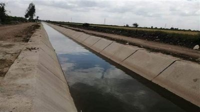الري: الانتهاء من تأهيل 5 آلاف كم من الترع في الوادي والدلتا (صور)