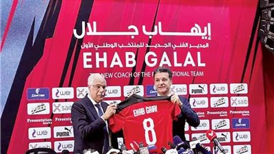 تعرف على تفاصيل عقد إيهاب جلال مع منتخب مصر  