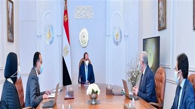وزير الزراعة يستعرض أمام الرئيس السيسي مستجدات موسم حصاد القمح الحالي