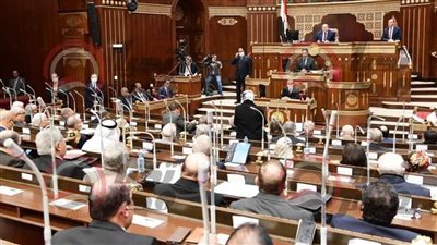 رفع الجلسة العامة لمجلس الشيوخ.. والانعقاد القادم 29 مايو