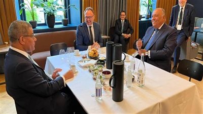 سامح شكري يعقد لقاءً ثلاثيا مع وزير المناخ الدنماركي ووزير الدولة البريطاني (صور)