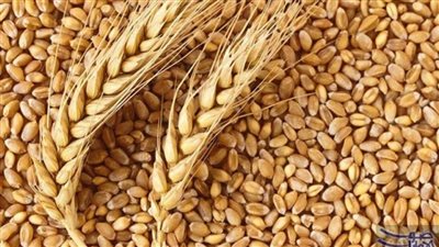  وزير الزراعة: توريد 2 مليون طن قمح حتى الآن