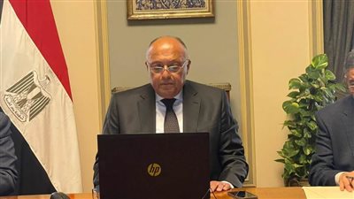 شكري يشارك في الاجتماع الافتراضي لمجموعة وزراء خارجية بريكس بلس