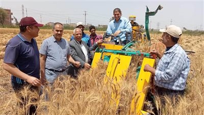 القصير يتابع مع مديري مديريات الزراعة حصاد وتوريد محصول القمح