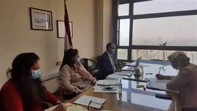 وزير الخارجية يؤكد ثوابت الموقف المصري بشأن قضية سد النهضة