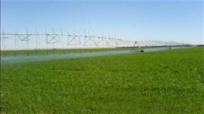 الدولة تضع زيادة رقعة الأراضي الزراعية في مقدمة أولوياتها