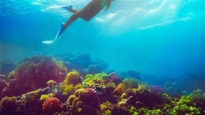 مصر الأولى إفريقيا والخامسة بالشرق الأوسط في مؤشر تنمية السياحة لعام 2021