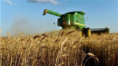 التموين: استلام 2 مليون و920 ألف طن قمح محلي وسداد 14 مليار جنيه للمزارعين