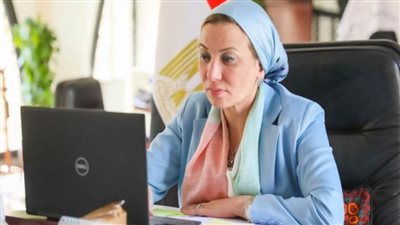 وزيرة البيئة تبحث مع مدير قطاع البيئة بالمنظمة العالمية للتعاون والتنمية الاقتصادية التعاون المشترك