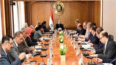 نيفين جامع: نسعى لإنشاء منظومة موحدة لتصنيع الأطراف الصناعية 