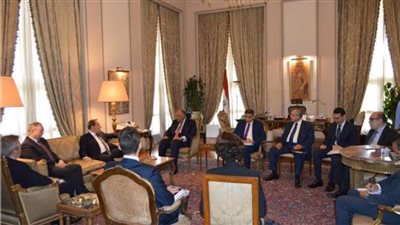 شكري يبحث مع المفوض الأوروبي للجوار تعزيز الشراكة والتعاون 