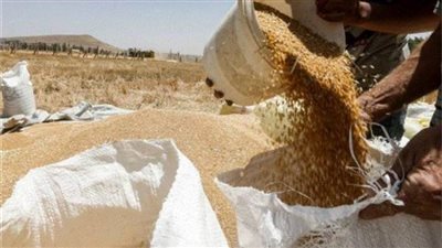 إحباط بيع 310 طن سلع وأقماح في السوق السوداء وضبط 1580 قضية تموين 