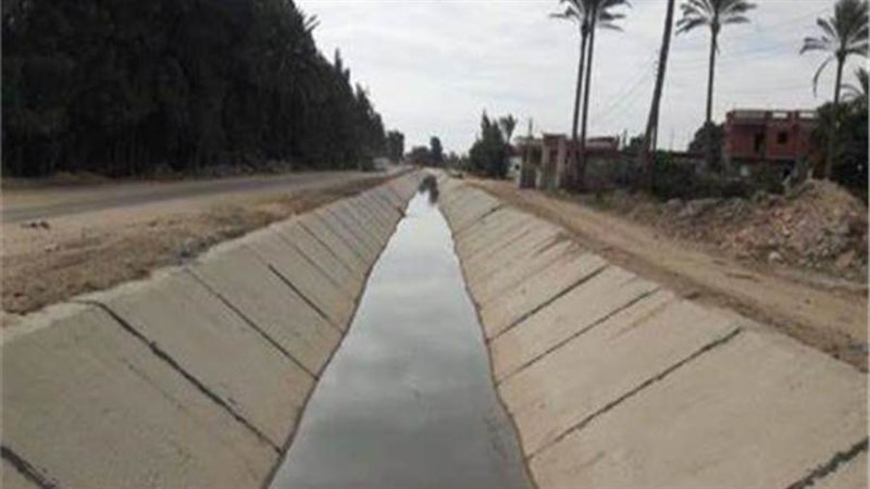 أرشيفية