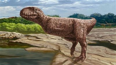 نجاح فريق دولي بمركز حفريات جامعة المنصورة في اكتشاف ديناصور عاش بمصر قبل 98 مليون عام بالواحات البحرية (صور)