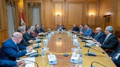 وزير الإنتاج الحربي يبحث مستجدات التعاون مع شركة 