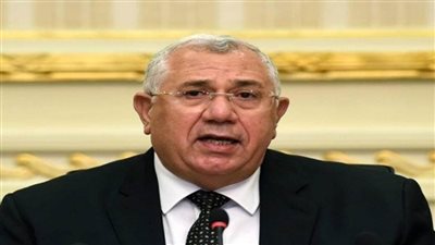 3.5 مليون طن صادرات مصر الزراعية في 5 أشهر