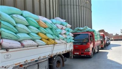 ضبط 14 طن قمح قبل تهريبهم خارج الإسكندرية
