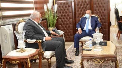 وزير التنمية المحلية يتابع مع محافظ الوادي الجديد موقف توريد القمح ومعدلات تنفيذ المشروعات التنموية والخدمية (صور)