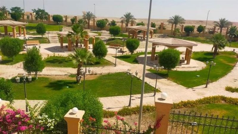 الشورى