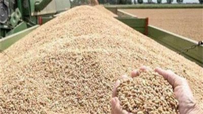 ضبط 1528 قضية تموينية و260 طن سلع وأقماح في السوق السوداء 