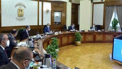 عاجل | الحكومة تكشف حقيقة فشل المشروع القومي لإحياء البتلو في زيادة الإنتاج الحيواني