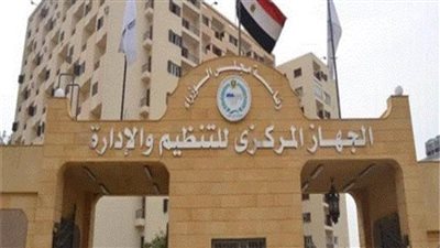 التنظيم والإدارة: بدء سريان ترقيات العاملين بالدولة اعتبارًا من يوليو الجاري 