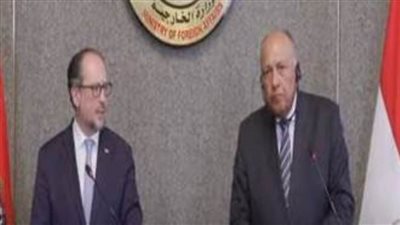 وزير خارجية النمسا: مصر شريك أساسي لبلادنا والاتحاد الأوروبي