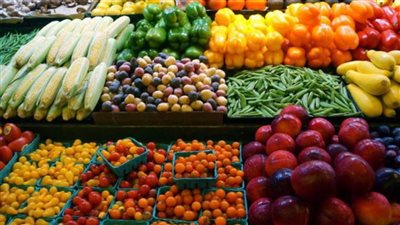 توصيات هامة من الزراعة لمحاصيل الخضر والفاكهة خلال يوليو.. تعرف عليها