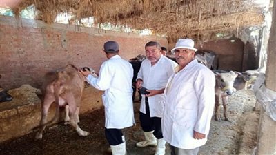انطلاق الحملة القومية لتحصين المواشي ضد الحمى القلاعية والوادي المتصدع على مستوى الجمهورية (صور)