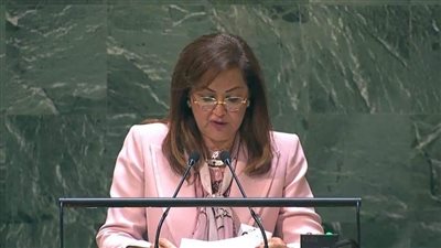 وزيرة التخطيط: 