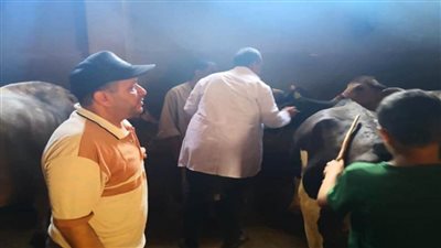 وزير الزراعة يتابع أعمال الحملة القومية لتحصين المواشي ضد الحمى القلاعية (صور)