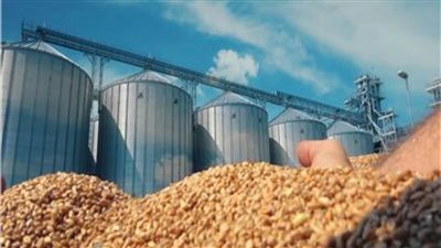 «السلع التموينية» تنتظر عروض قمح مستورد من 5 دول