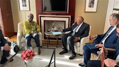 شكري‬⁩ يلتقي السكرتير التنفيذي المؤقت لاتفاقية الأمم المتحدة