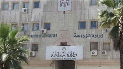 الزراعة: الزيادة السكانية وعشوائية العمل والأمور الوراثية أبرز تحديات القطاع الحيواني والداجني