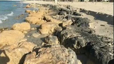 وزيرة البيئة: مخاوف من ارتفاع منسوب سطح البحر وخاصة في الساحل الشمالي