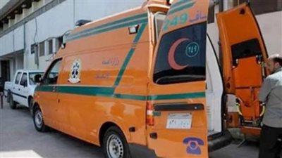 وفاة موظف بعد 10 أيام من تعدى نجله المريض نفسيا عليه بالقليوبية