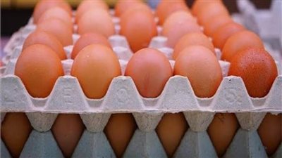 انخفاض أسعار البيض السبت 30 يوليو 