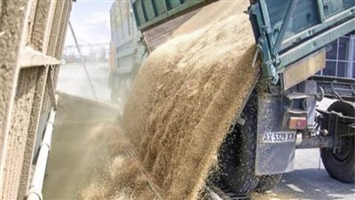 تراجع أسعار القمح عالميا.. والإفراج عن 25 مليون طن بأوكرانيا قريبا 