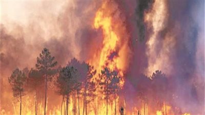 حرائق الغابات في روسيا تغطي 79 ألفا و400 هكتار 