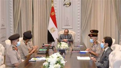الرئيس السيسي يوجه بإضافة مساحات جديدة للرقعة الزراعية المستصلحة في توشكى