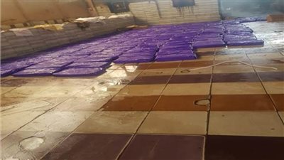 الصحة: ضبط وإعدام 235 طن أغذية و27 ألف لتر عصائر ومشروبات غير صالحة 