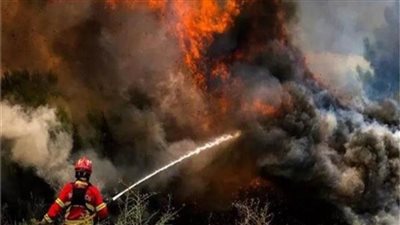 احتراق أكثر من 660 ألف هكتار من الغابات الأوروبية 