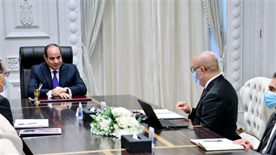 السيسي يوجه بتكثيف برامج التدريب الحرفي والفني للشباب في القرى