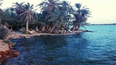 الحكومة تنفي صدور قرار بتجفيف بحيرة 