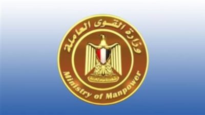 وزير القوى العاملة: بدء دورة تدريبية على الكهرباء للشباب بالوادي الجديد