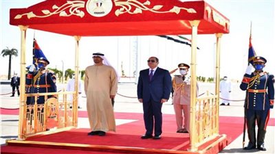 الرئيس السيسي يستقبل الشيخ محمد بن زايد رئيس دولة الإمارات.. صور 