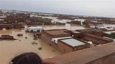 20 مليون جنيه مساعدات من «الأوقاف» للأشقاء في دولة السودان 